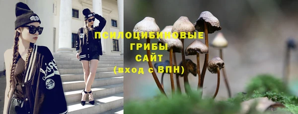 дмт Абинск