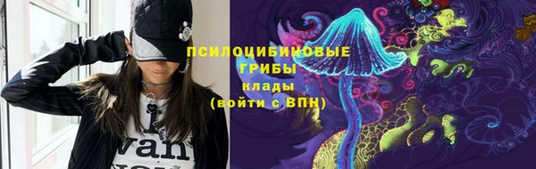 герыч Алексин