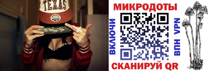 omg как войти  Людиново  Псилоцибиновые грибы ЛСД 