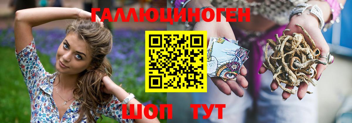 Псилоцибиновые грибы Psilocybe  Вход с VPN  Людиново 